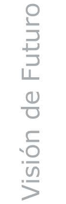 VisiondeFuturo_gris2